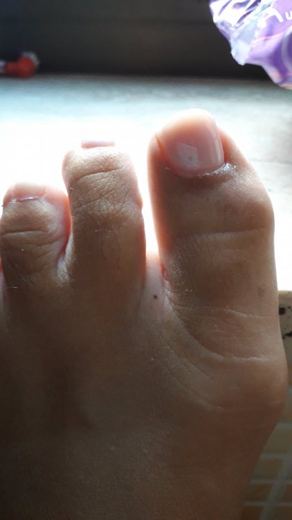 20210806_180850.thumb.jpg.6313653f8bc57de4a3aaf79a636e1c38.jpg