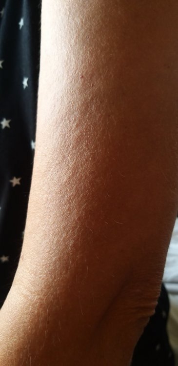 20210817_093401.thumb.jpg.6051d9f0b9674bdc4752a8e793e900fa.jpg