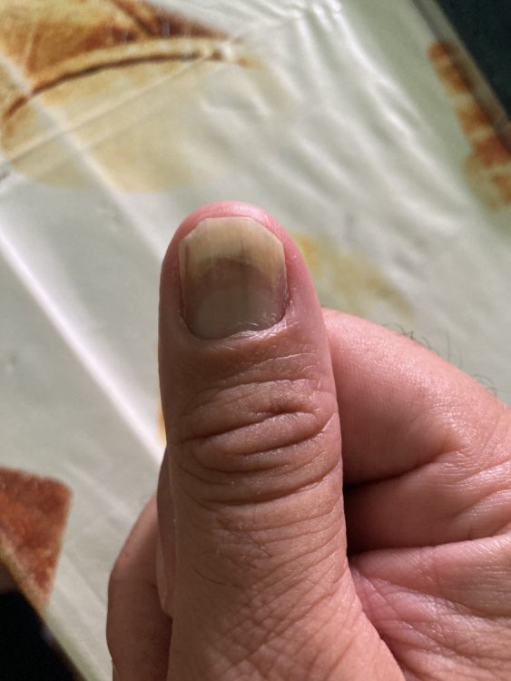 D6C2EAF2-9AF6-44F4-9860-2CB85EA4A774.thumb.jpeg.1290494bb9a616618150bb03f75a6f0e.jpeg