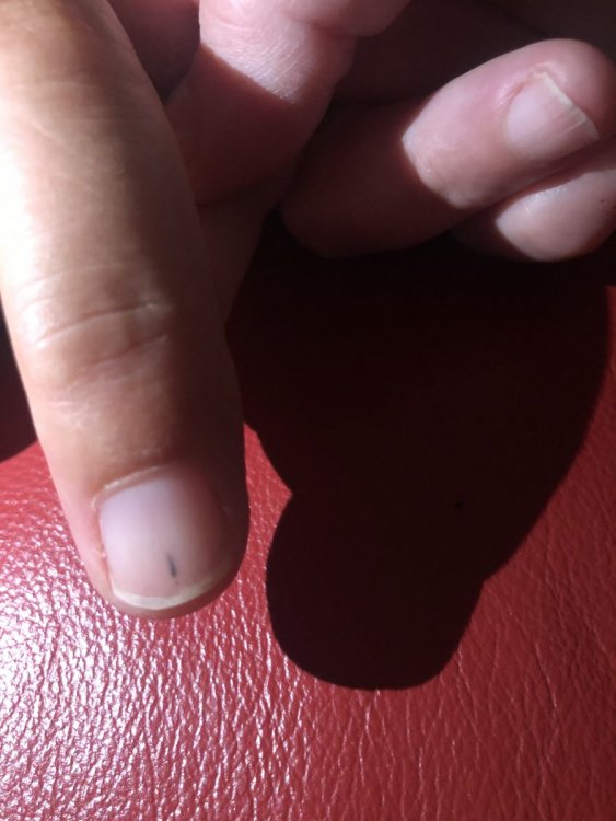 E209C3C0-7E47-4F4B-BE75-104A0C0A17CC.jpeg