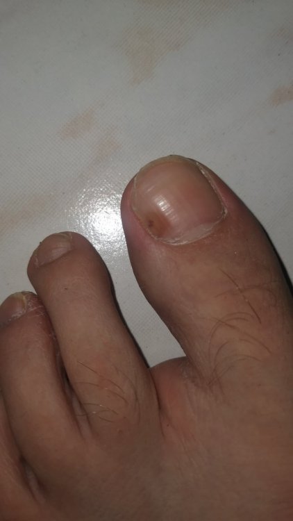 IMG-20210810-WA0135.jpeg