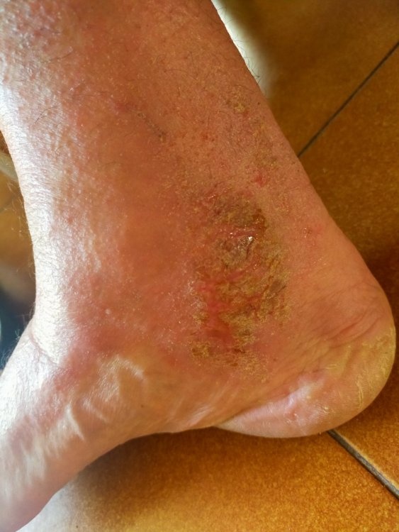 IMG20210819172951.jpg