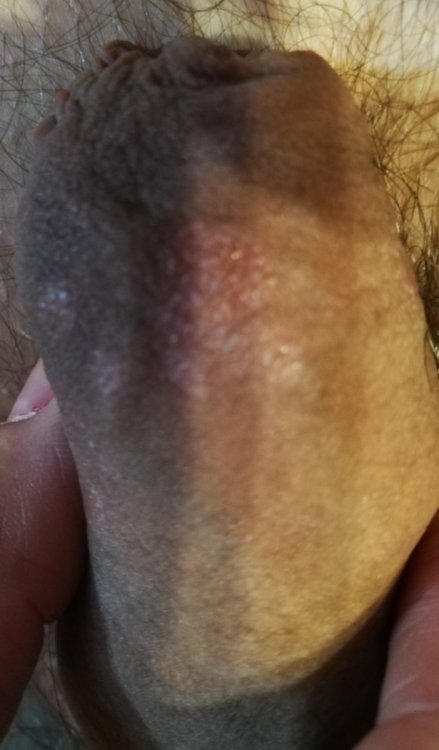 1088762278_IMG_20210911_1943451.thumb.jpg.959d5feed056f9dec428254f4e316ffa.jpg