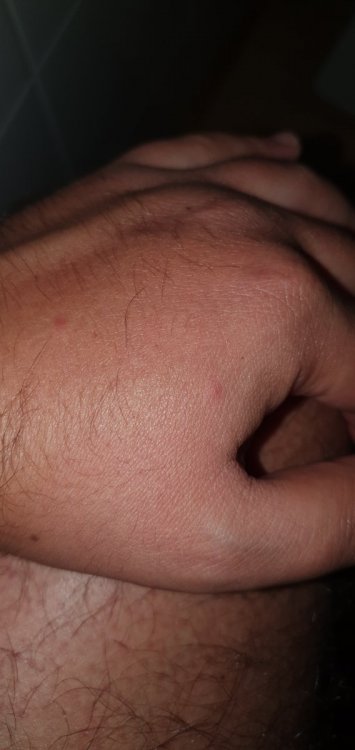 16310506165207929460922881465487.thumb.jpg.0e0f5215784cef17bfd264f90c93a383.jpg