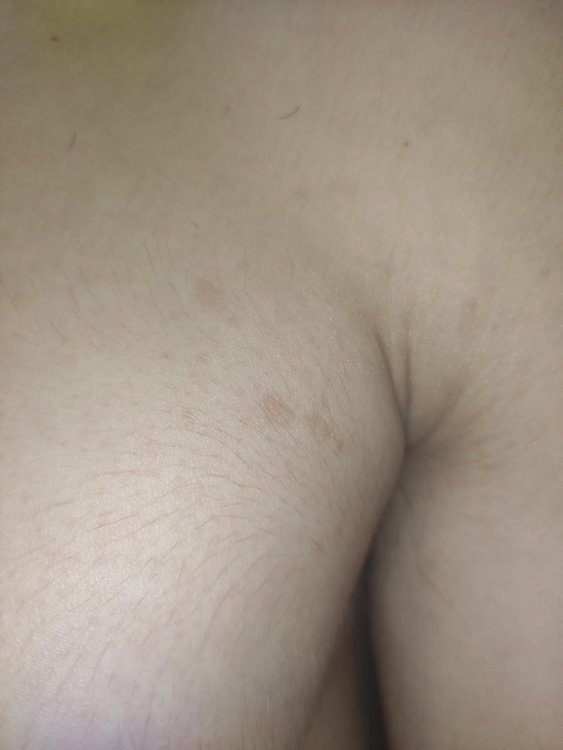 16319579328456534669449888759183.thumb.jpg.964ac4c4f75c95903eb23bb10b81d942.jpg