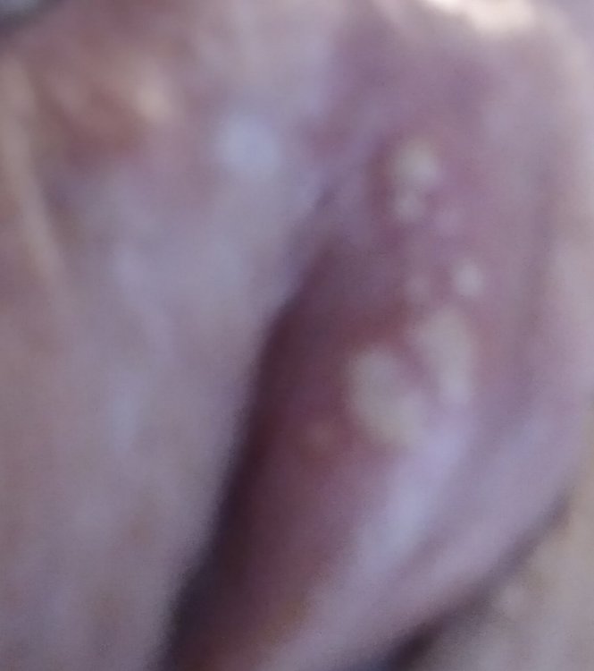 20210904_223952.jpg