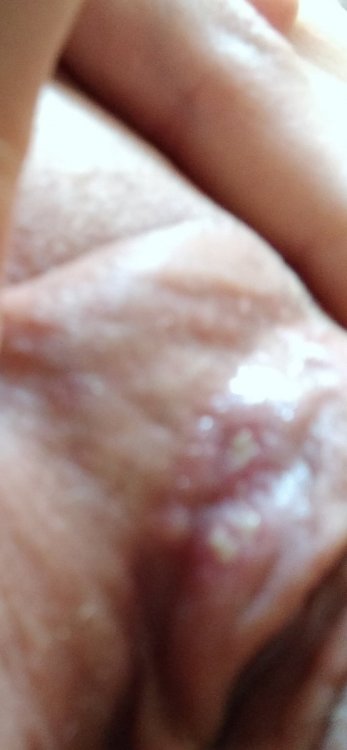 20210908_110930.thumb.jpg.e919867d93d47cffd736e0cc47365f73.jpg