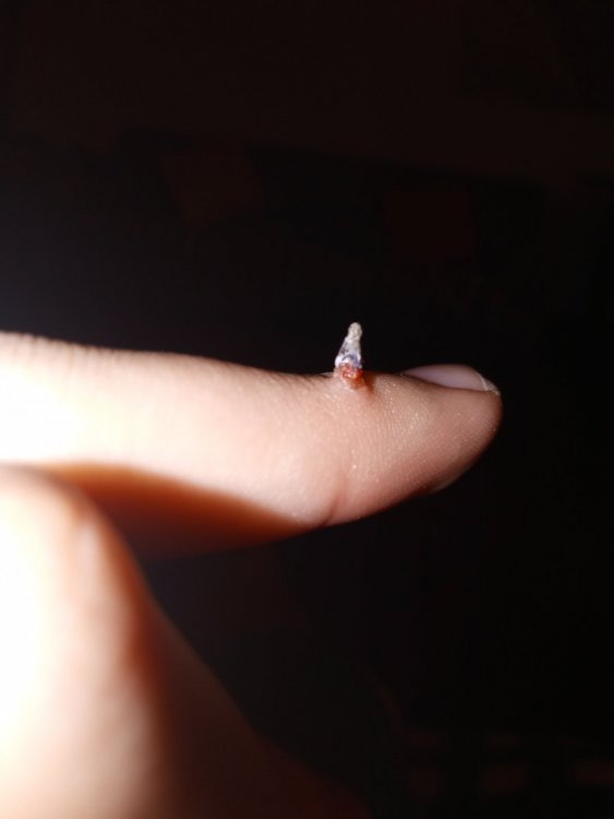 20210908_201750.jpg