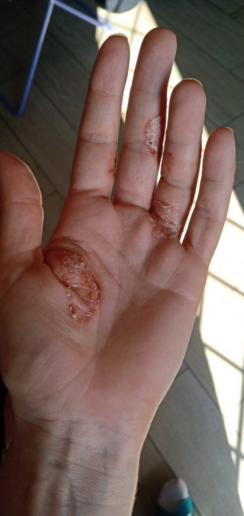 IMG20210930101229.thumb.jpg.46aa8f4067ff3b93ec62746a77215f8e.jpg
