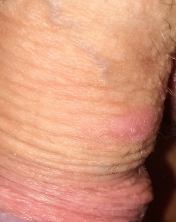 IMG_20210910_114506.jpg