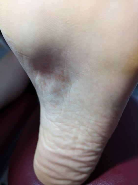 IMG_20210913_171320.jpg