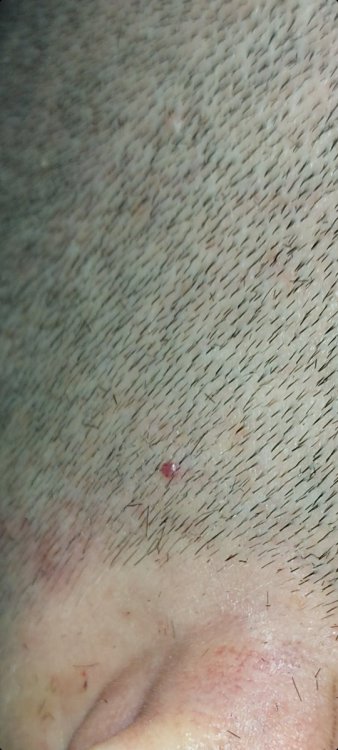 Screenshot_20210926-165733_Gallery.thumb.jpg.df3b2e14eea8bfb811521cd811d596b4.jpg