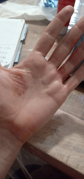 inbound2045774037788765483.jpg