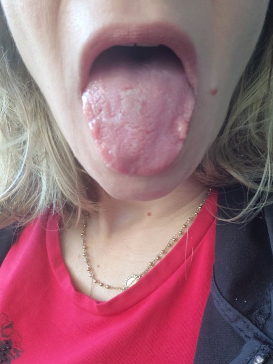 16347981779001435804766464618725.thumb.jpg.ce0fba55c8697ea2cdb6b2c630939f8f.jpg