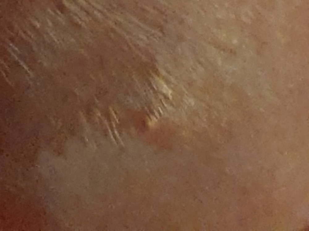 20211010_125132.thumb.jpg.db87cfa13bfa396df65fe2b85b1581ec.jpg
