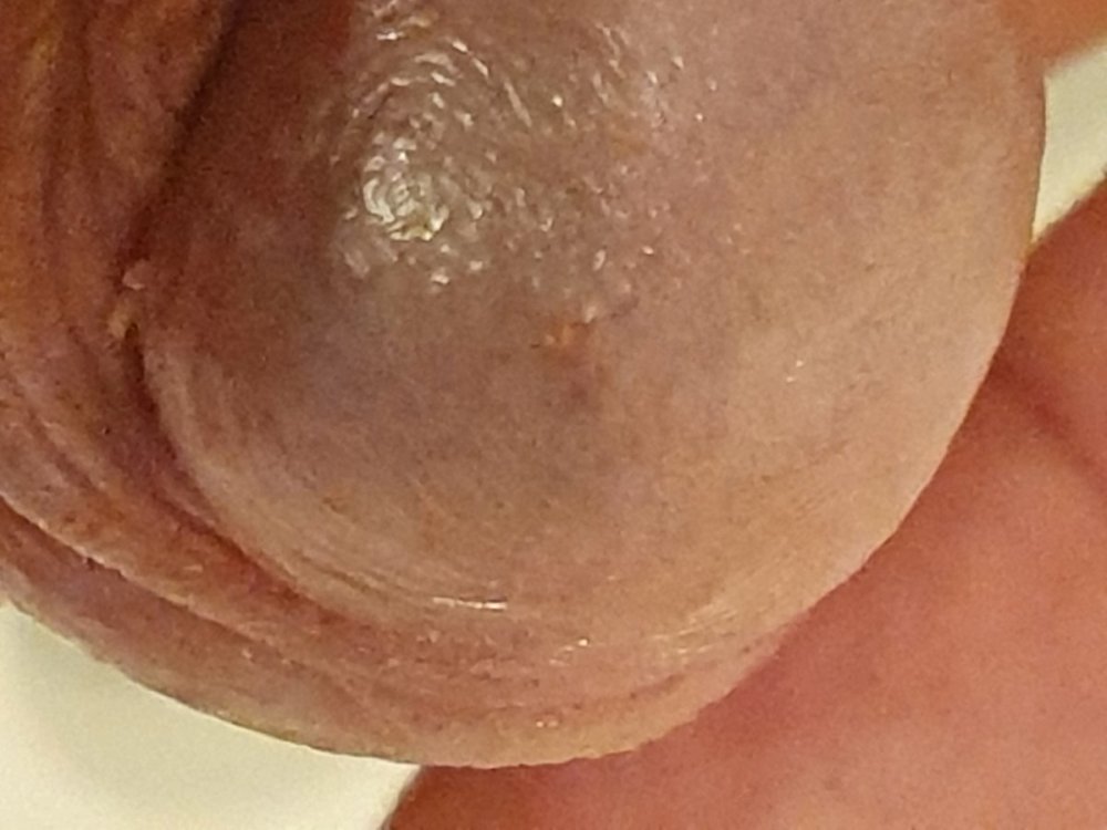 20211010_125214.thumb.jpg.e5d558b32306dfc31cda85483b4df2f0.jpg