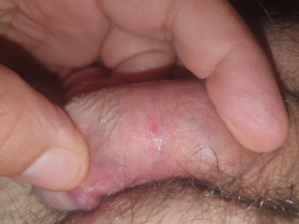 20211010_175943.thumb.jpg.3139bfdb44573f44004b482fbc939435.jpg