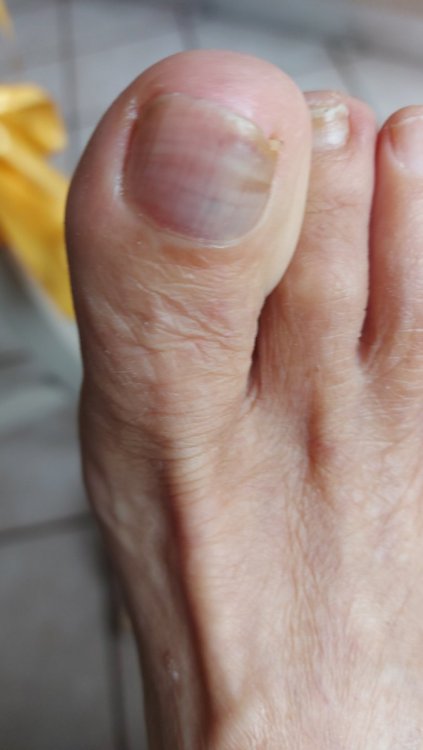20211018_092044.thumb.jpg.c45541c89bbf2e7cbd07b58112a251e6.jpg