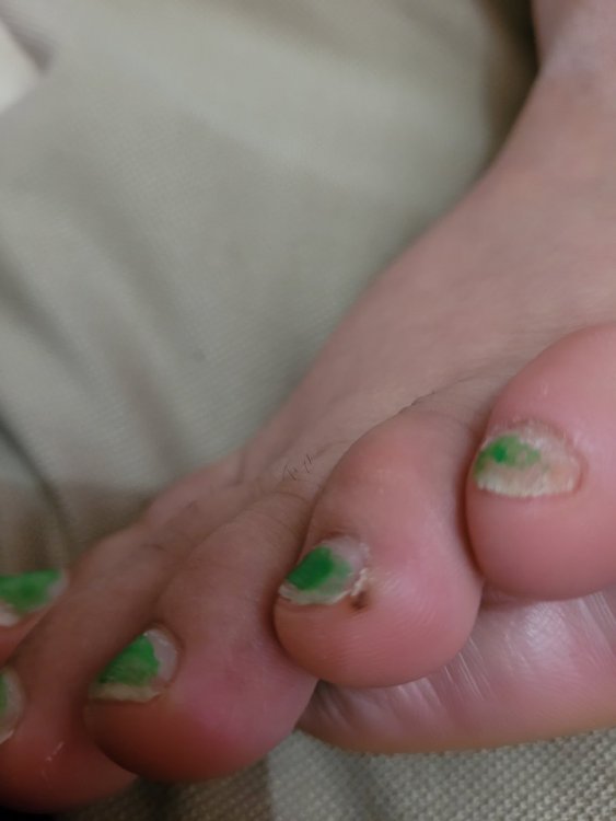 20211023_124018.thumb.jpg.52c7decfeaa3f8940ff34dbe80606753.jpg