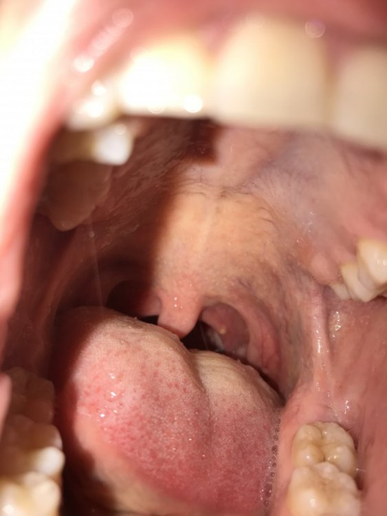 6A271DD8-CEDF-4FDF-9629-C40DE91DCF6F.jpeg