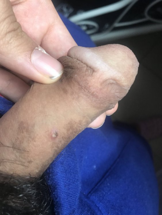 C8E2C2F7-1CA3-4BD4-915F-7A773B2A7571.thumb.jpeg.d958c59ca1284f6485caa00f554cfa5e.jpeg