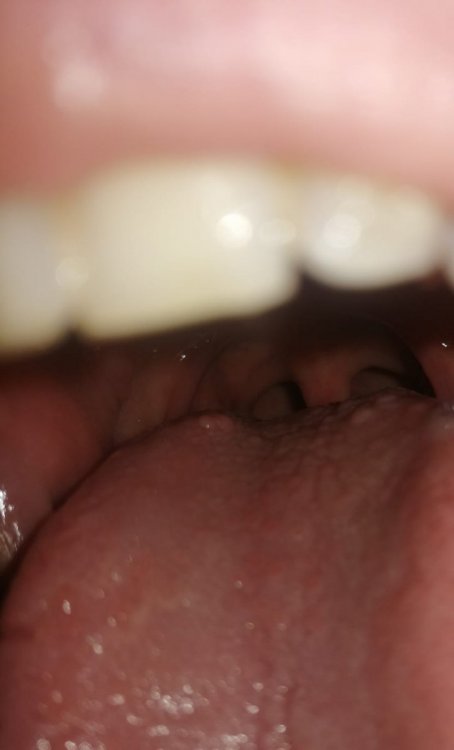 IMG_20211024_144224.jpg