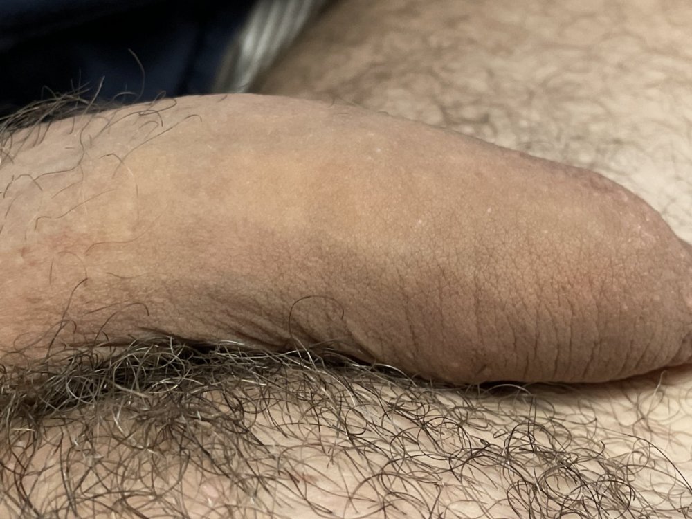 image.thumb.jpg.d69031e93e09cf03292bd01ef2df58c3.jpg