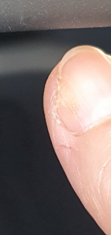 20210925_101532.thumb.jpg.16ef79e8f05851f00a87b34844de8f28.jpg