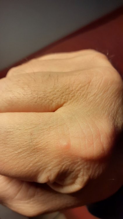 20211024_212510.thumb.jpg.da08b7361b11f396e5631a0e681350d9.jpg
