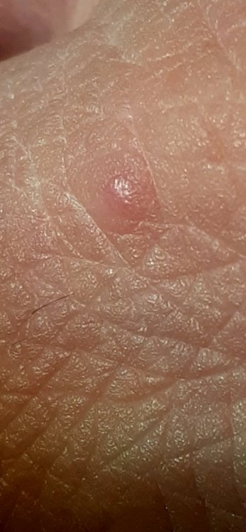 20211101_182027.thumb.jpg.67a8257703299763f77ad4c9c2e9d4ae.jpg