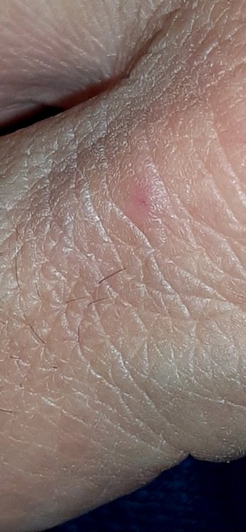 20211101_182339.thumb.jpg.6a73d0ab9393514967dea4384efd4134.jpg