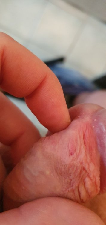 20211123_145236.thumb.jpg.7d63cbb3cf030527c13478c43b13ecc2.jpg