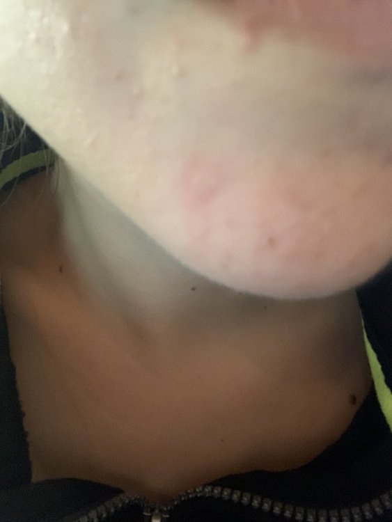 338091CA-9CF3-4988-A5DA-C6B0D7C33CE7.thumb.jpeg.d3438fd72419c2c597f6f6df272d035d.jpeg