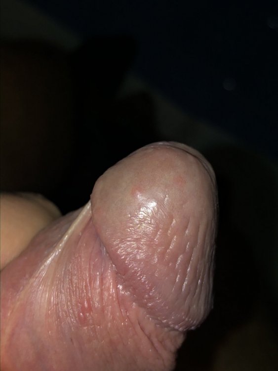 AAAFD4F9-0A13-40F2-9BA7-097FF0F40199.jpeg