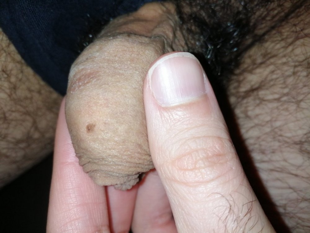 IMG_20211125_194205.jpg