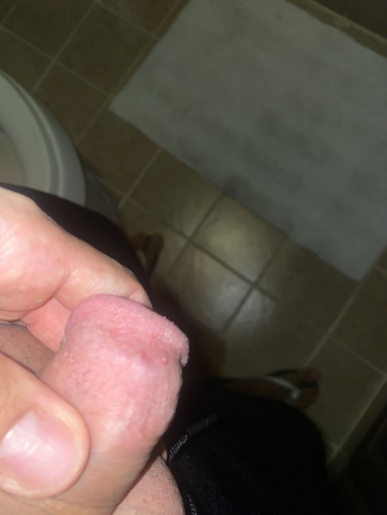 image.thumb.jpg.6f2c19cb3174bc1f85c51166242af944.jpg