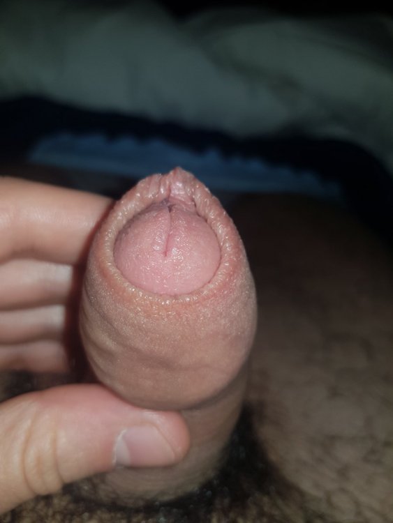 16400434793342762120359479565045.thumb.jpg.314b6091eeaf311062e2d13a3ab36ff0.jpg