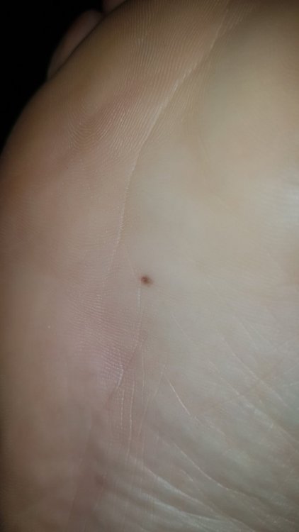 20211005_221555.jpg