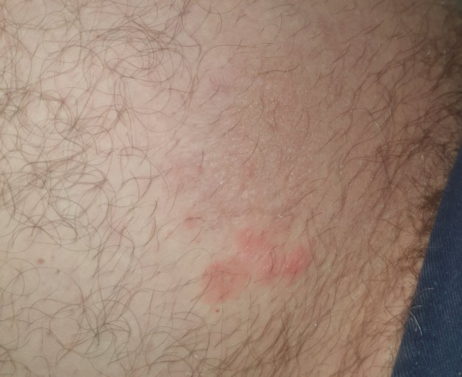 20211213_130537.jpg