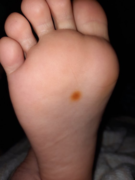 20211227_234954.jpg
