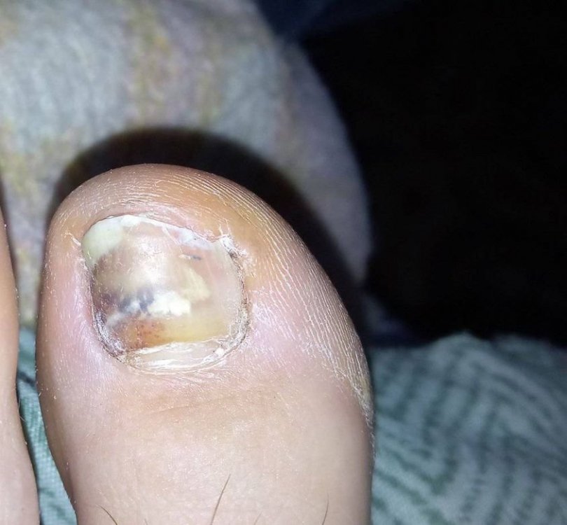 269602120_4936235073107253_2666779395247565597_n.thumb.jpg.184290ea77124b1784d83f09da428b20.jpg