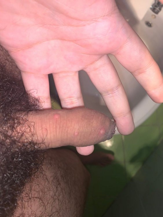 6z.thumb.jpg.ecd0e3912b53ac3ed778e7468d34ff5c.jpg