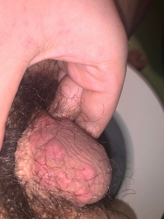 7z.thumb.jpg.d3fac5ad369ac1cdab026830b16cc8b0.jpg