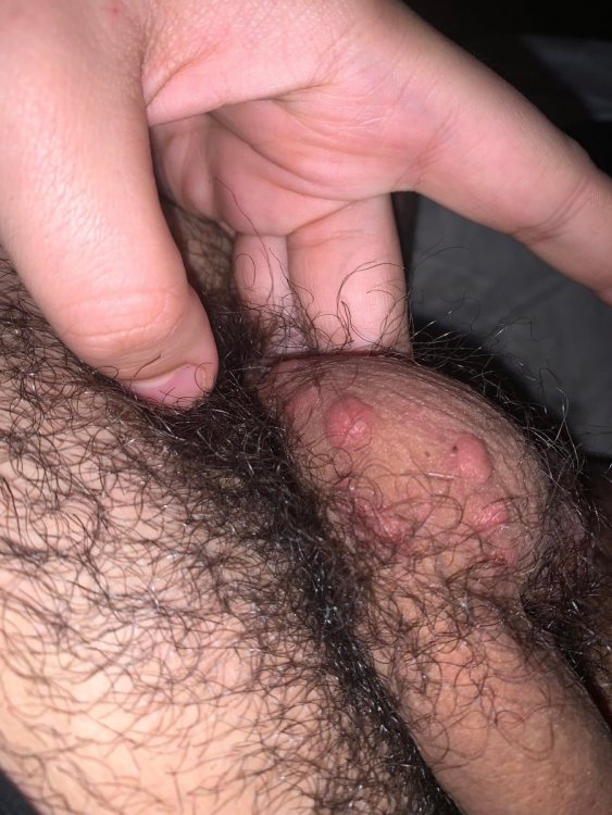 8z.thumb.jpg.90171a23a5fdc5b8eda5ac7d204b5bd3.jpg