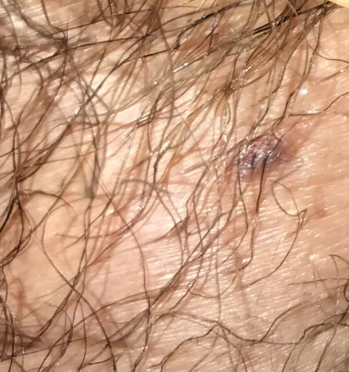 A45A1FEA-FAB9-412C-B495-41B4EFEEE606.jpeg