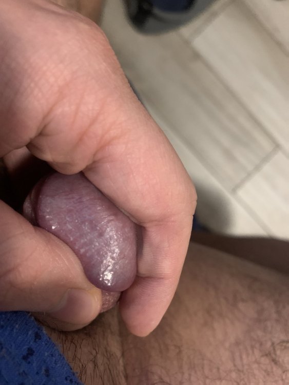 image.thumb.jpg.999e691a1142f9db5aaa1ce436eedb75.jpg
