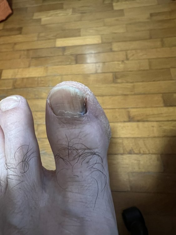 FOTO 2 - SENZA FLASH.JPG