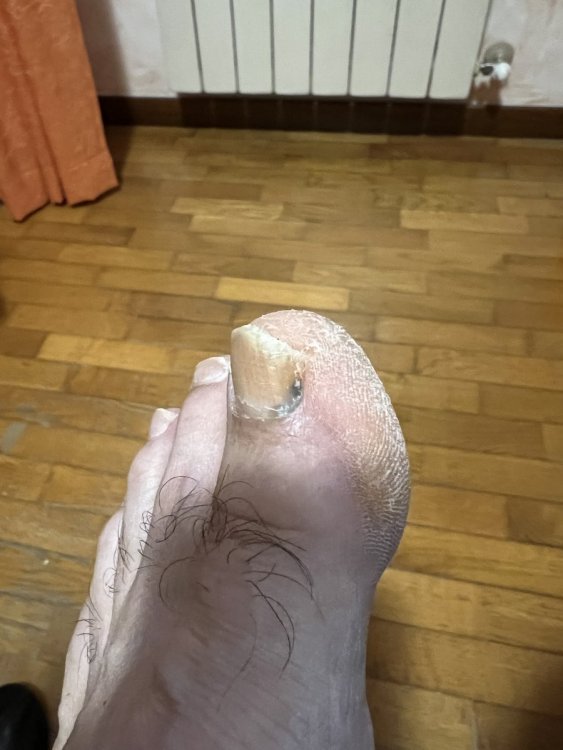 FOTO 3 - SENZA FLASH.JPG