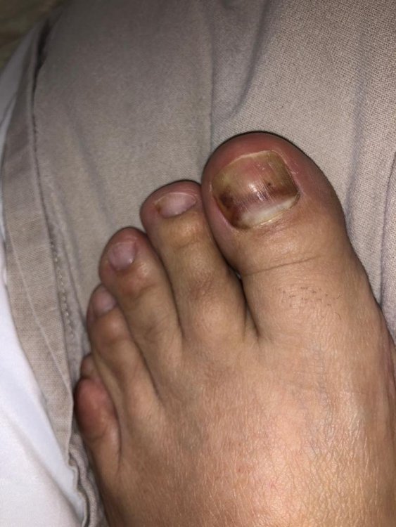 FOTO 2.JPG