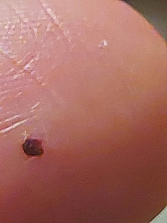 20220113_070816.jpg